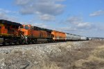 BNSF 6661 Roster shot